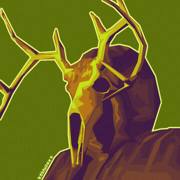 Zealot from ANEURISM IV for rattacatt